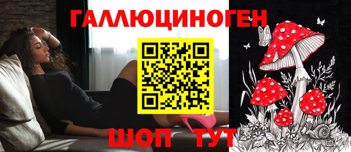 Псилоцибиновые грибы прущие грибы  Вход с VPN  Вятские Поляны 