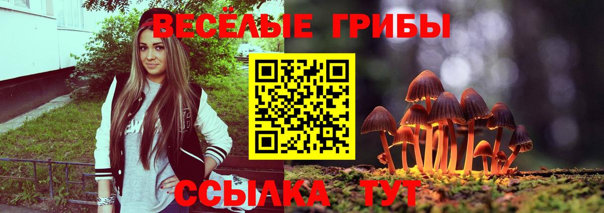 Галлюциногенные грибы MAGIC MUSHROOMS Вятские Поляны