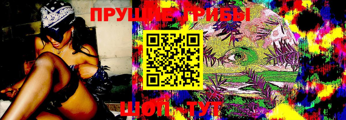 Псилоцибиновые грибы Psilocybe Вятские Поляны