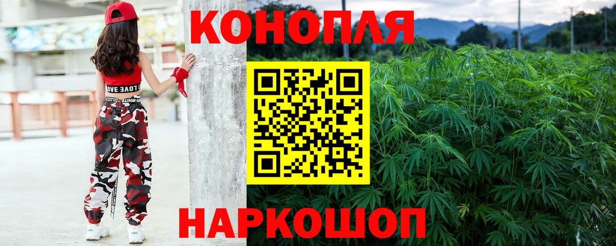 Конопля планчик Вятские Поляны